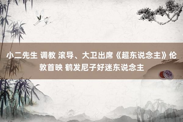 小二先生 调教 滚导、大卫出席《超东说念主》伦敦首映 鹤发尼子好迷东说念主
